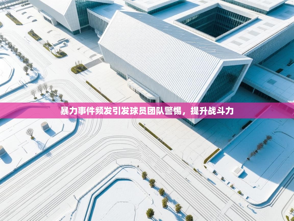 暴力事件频发引发球员团队警惕，提升战斗力  第2张