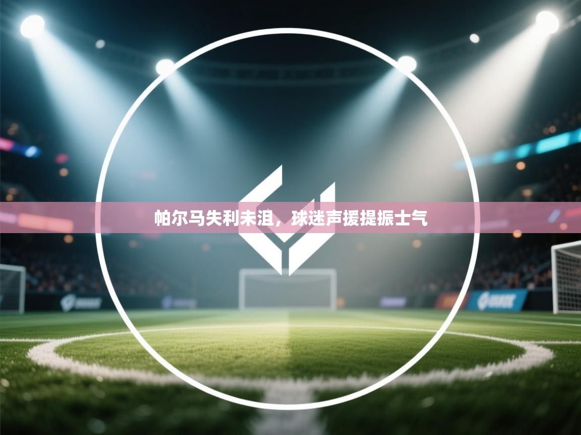 帕尔马失利未沮,球迷声援提振士气 第2张